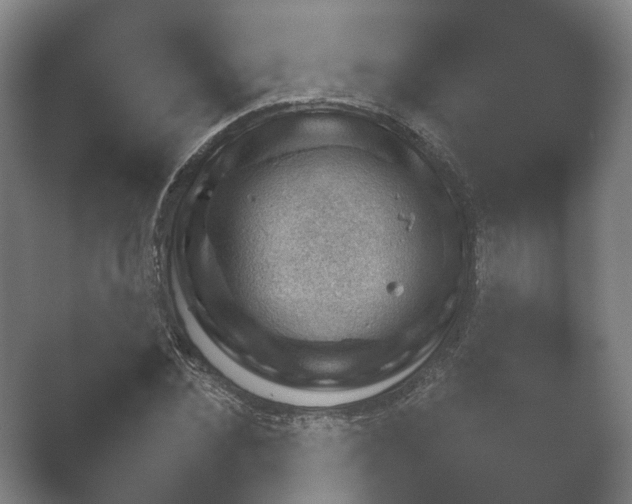 X0000052280876200507132026.png
