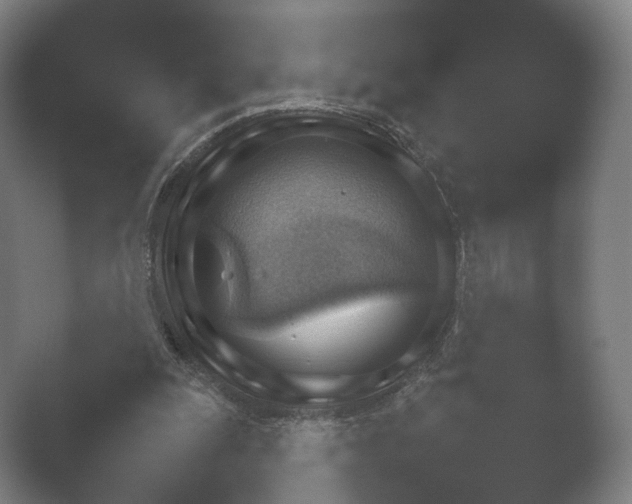 X0000052280247200507132036.png