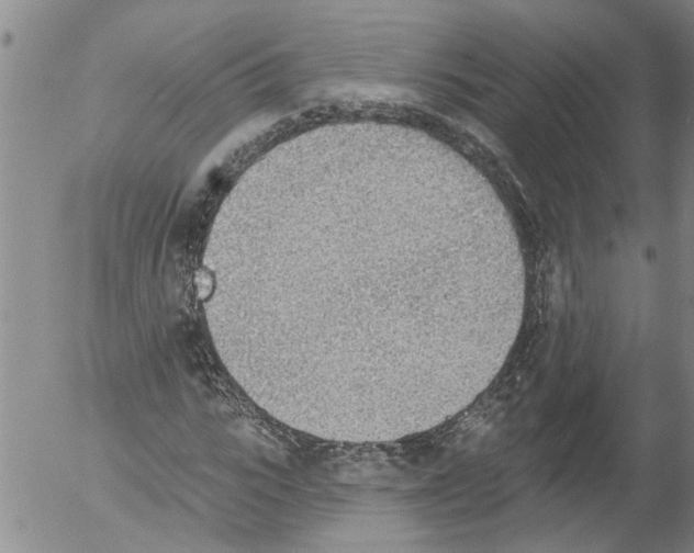 X0000054580919200508300056.png