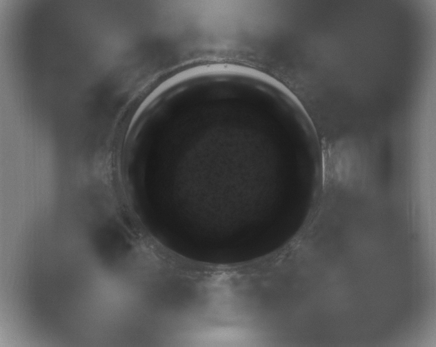 X0000054730243200508171859.png