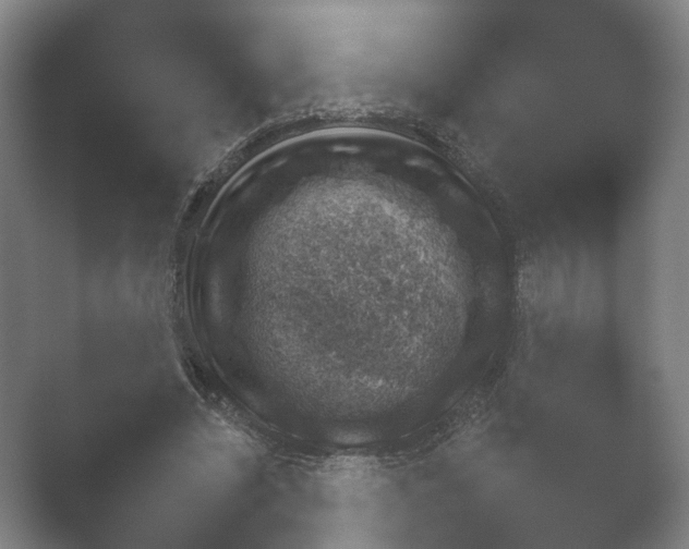 X0000052280444200507132033.png