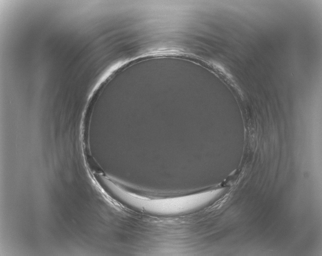X0000054351422200508190116.png