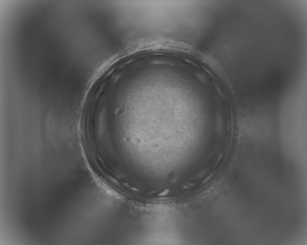 X0000052280946200507132025.png