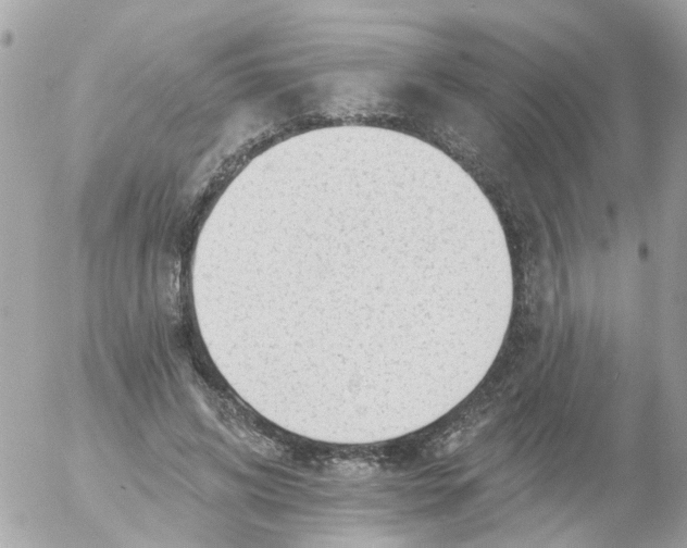 X0000055070592200508232331.png