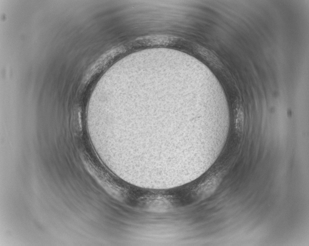 X0000054230254200508171519.png