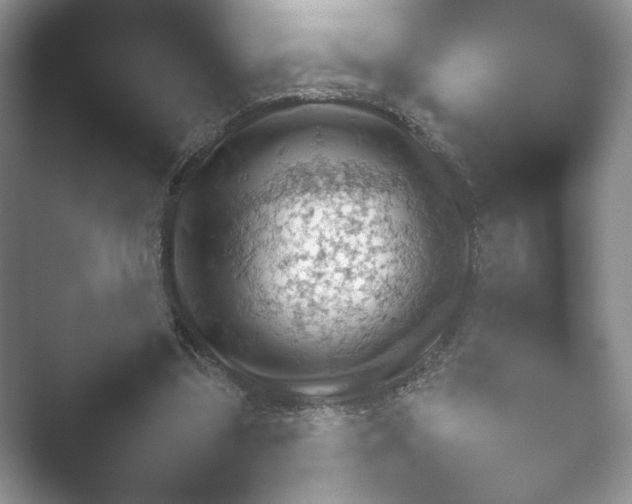 X0000052450299200507211321.png