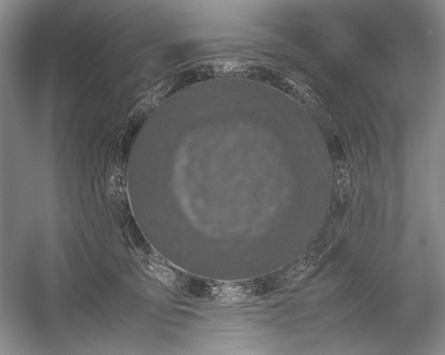 X0000055060419200508161651.png