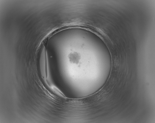 X0000055211356200508301311.png
