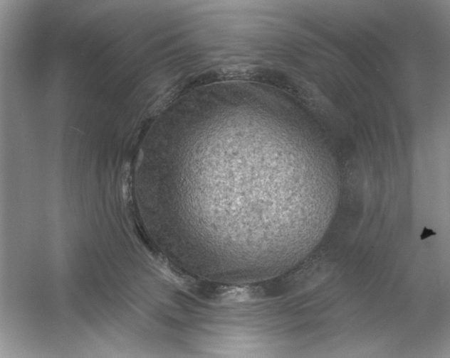 X0000054300083200508042321.png