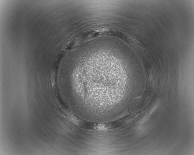 X0000054300565200508042313.png