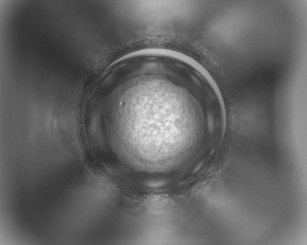 X0000052450451200507211318.png