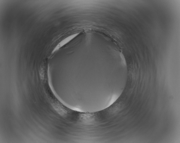 X0000055210139200508301331.png