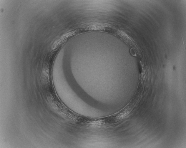 X0000054170306200508101806.png
