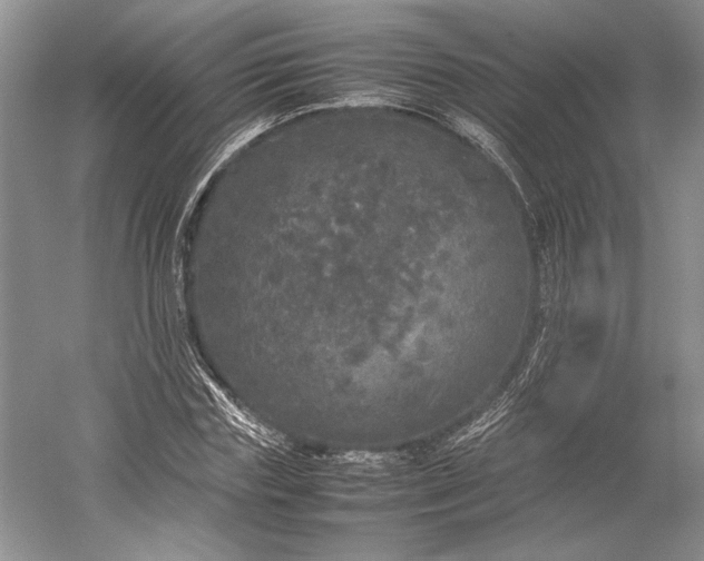 X0000055060827200508161643.png