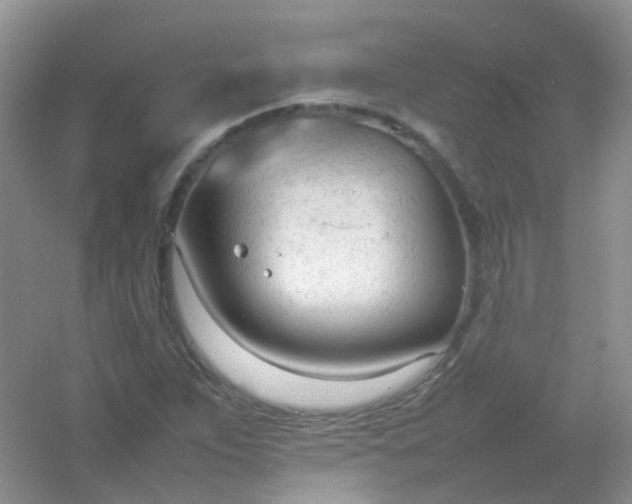 X0000054331263200508111909.png