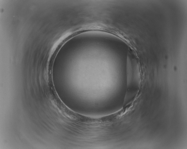X0000054650200200508091650.png