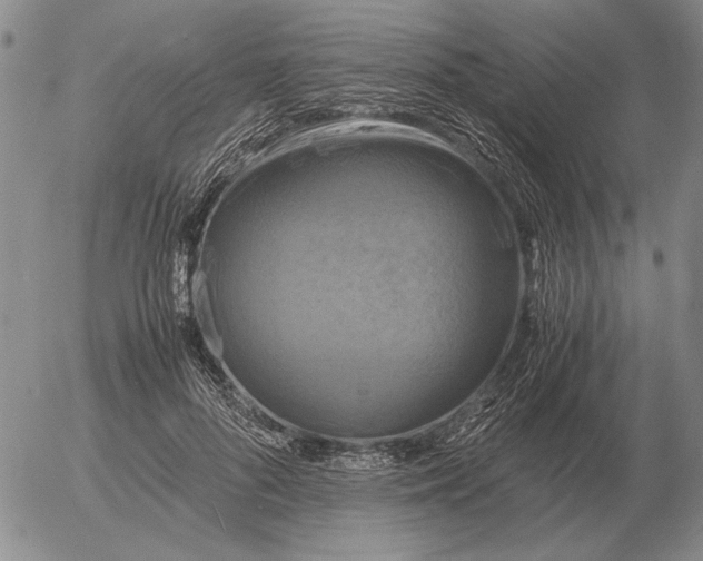 X0000054170696200508101800.png