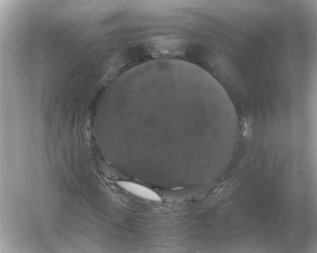 X0000054350915200508190124.png