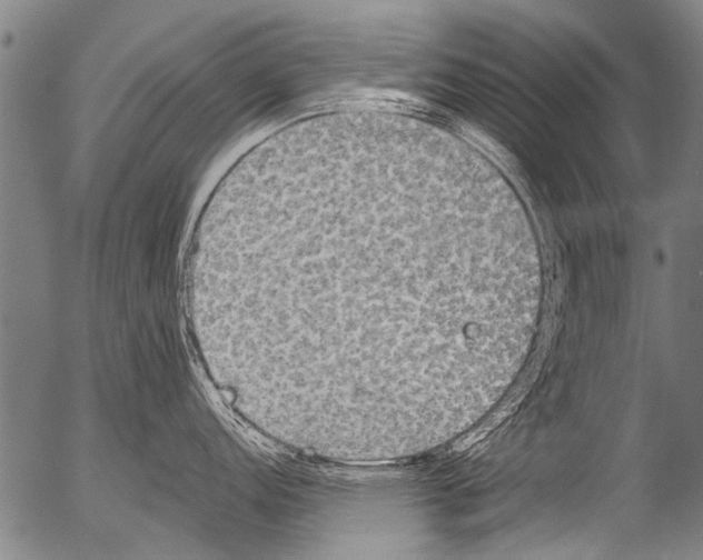 X0000054581152200508300054.png