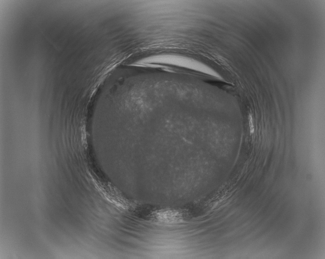 X0000055060500200508161649.png