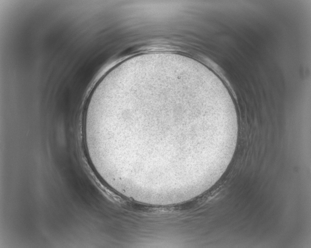 X0000054271195200508261908.png