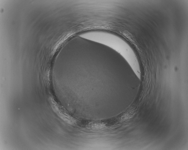 X0000054170491200508101803.png