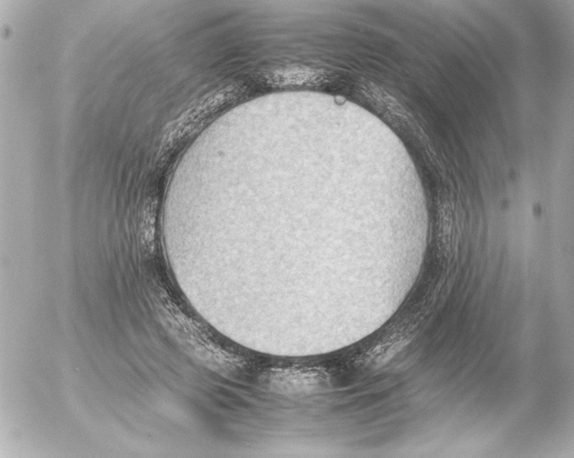 X0000054230545200508171515.png