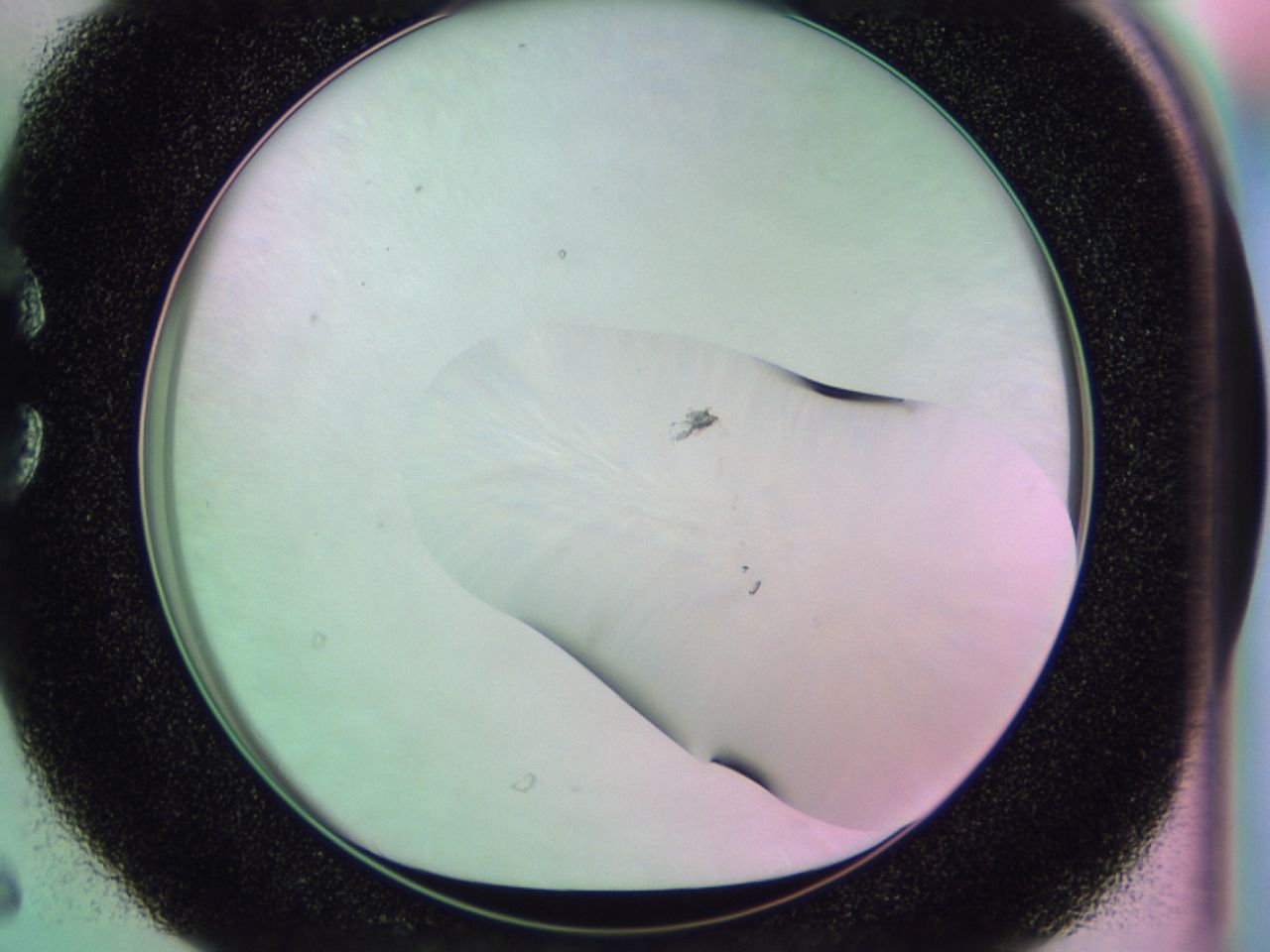 01gh_C6_ImagerDefaults_1.jpg
