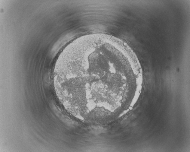 X0000054580194200508300109.png