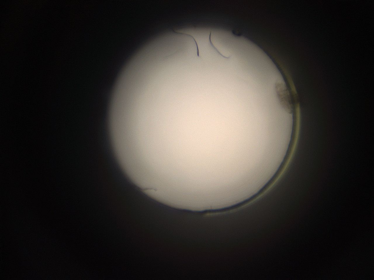 05do_N8_ImagerDefaults_1.jpg
