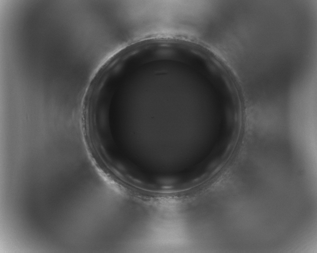 X0000054731042200508171846.png