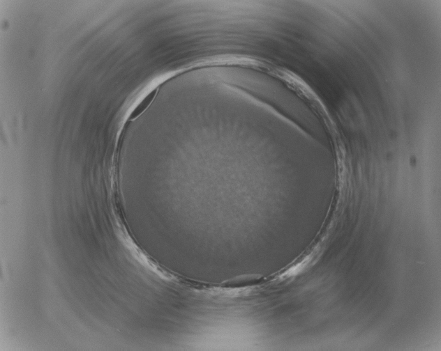 X0000054170860200508101758.png
