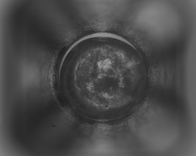 X0000044230590200501101640.png