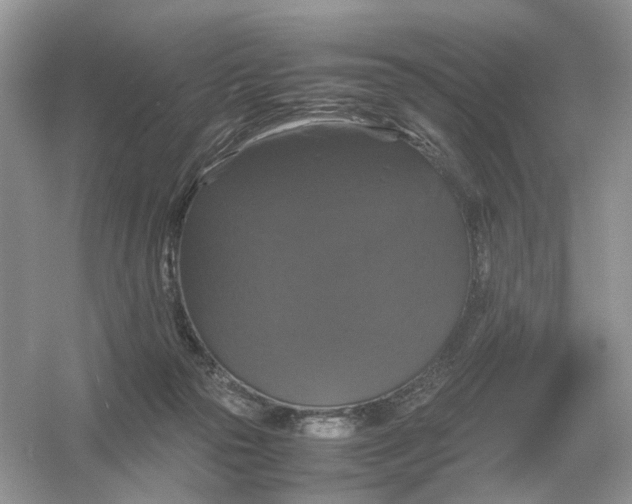 X0000054350169200508190137.png