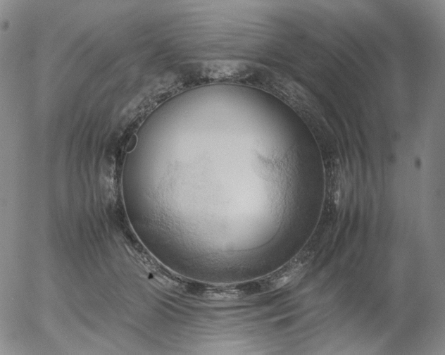 X0000054650510200508091645.png