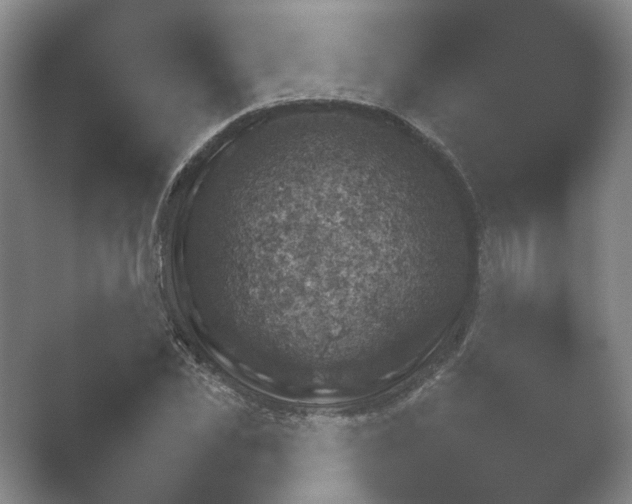 X0000052150925200507051947.png