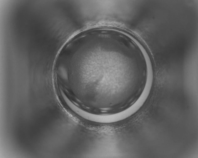X0000052711235200508022302.png