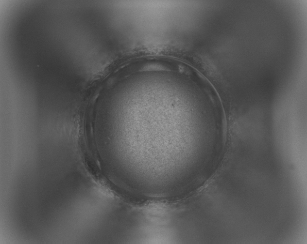 X0000052280066200507132039.png