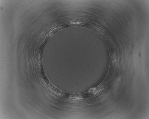 X0000054170559200508101802.png