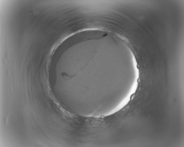 X0000054350337200508190134.png