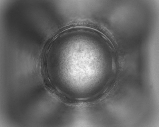X0000052450059200507211325.png
