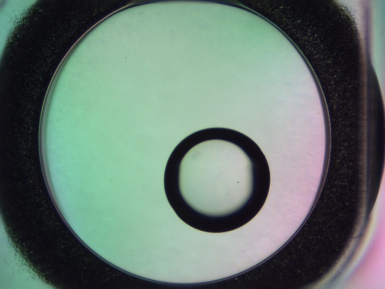 01gh_C5_ImagerDefaults_0.jpg