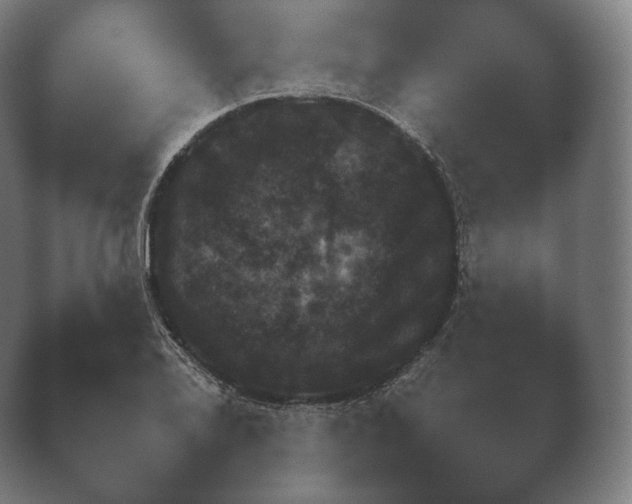 X0000038851078200410131822.png