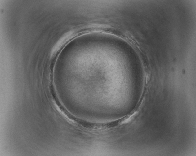 X0000054650101200508091652.png