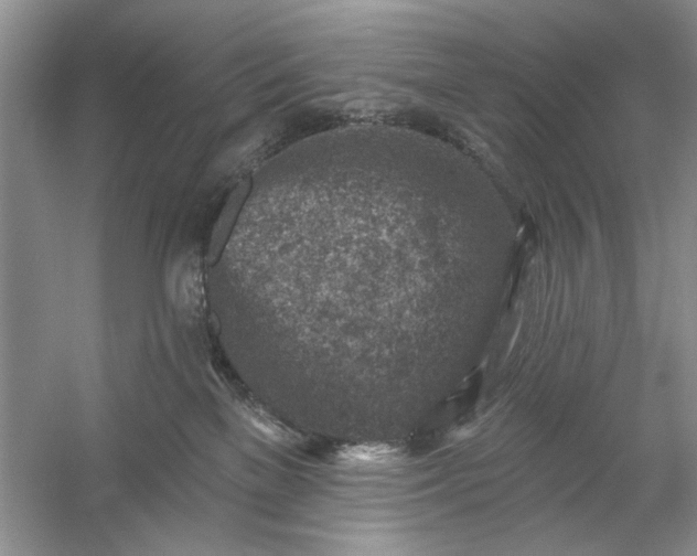X0000054300137200508042320.png