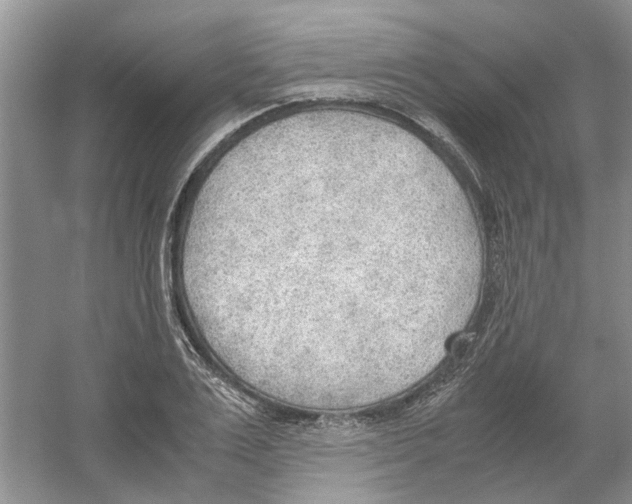 X0000054270983200508261911.png