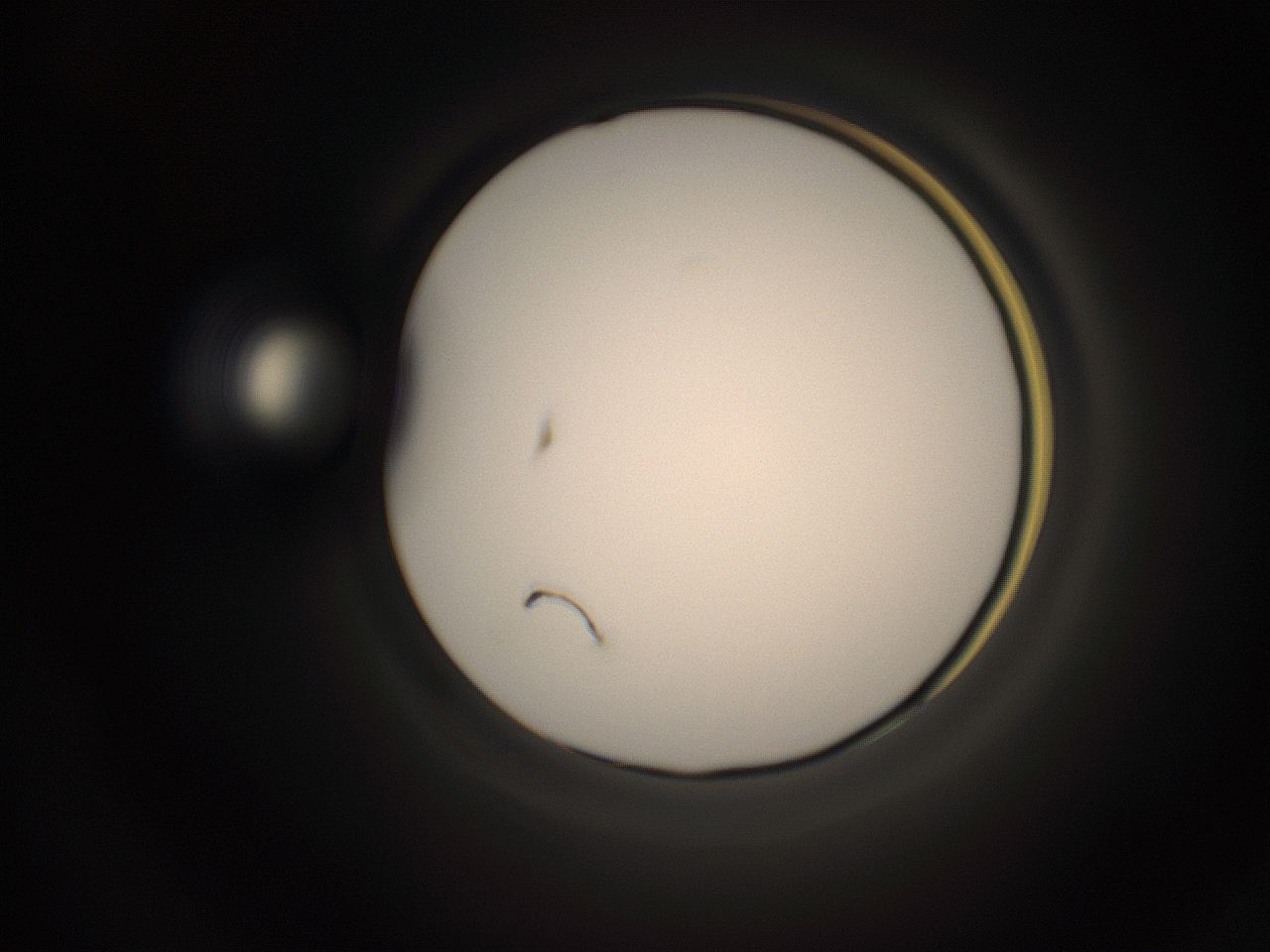 05do_N20_ImagerDefaults_1.jpg