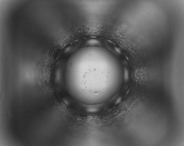 X0000044400570200412290434.png