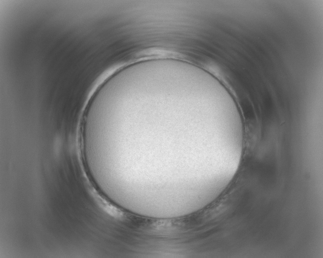 X0000054331098200508111912.png