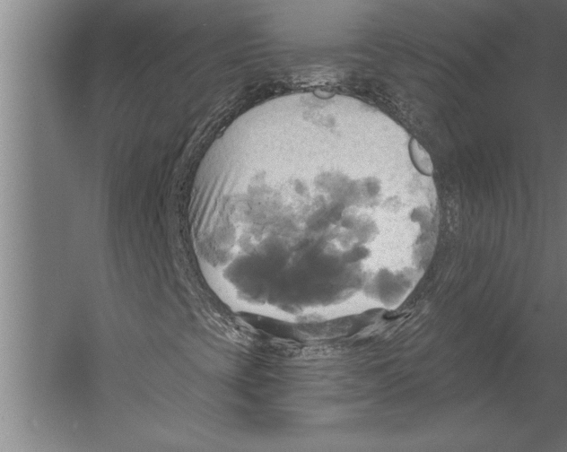 X0000055251393200509071603.png